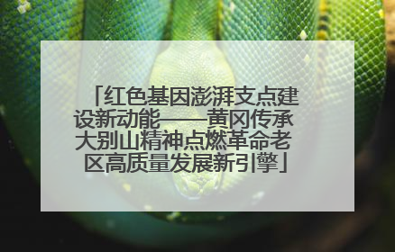 红色基因澎湃支点建设新动能——黄冈传承大别山精神点燃革命老区高质量发展新引擎