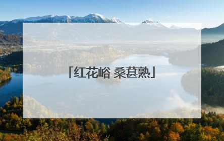 红花峪 桑葚熟