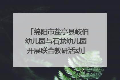 绵阳市盐亭县岐伯幼儿园与石龙幼儿园开展联合教研活动