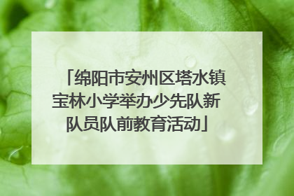 绵阳市安州区塔水镇宝林小学举办少先队新队员队前教育活动