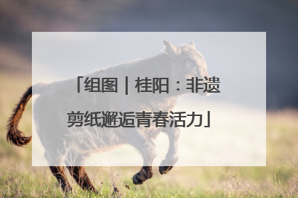 组图｜桂阳：非遗剪纸邂逅青春活力