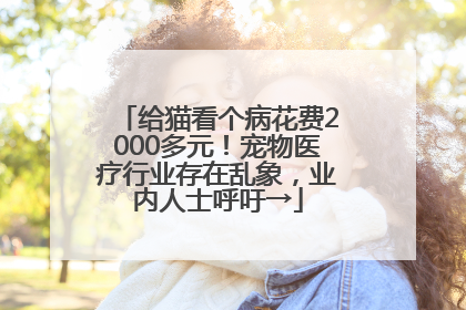 给猫看个病花费2000多元！宠物医疗行业存在乱象，业内人士呼吁→