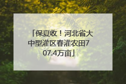 保夏收！河北省大中型灌区春灌农田707.4万亩