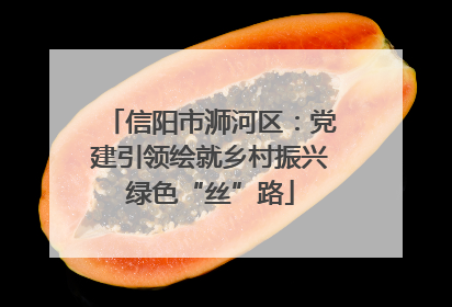 信阳市浉河区：党建引领绘就乡村振兴绿色“丝”路