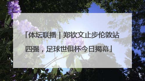 体坛联播｜郑钦文止步伦敦站四强，足球世俱杯今日揭幕