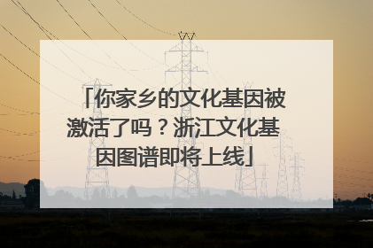 你家乡的文化基因被激活了吗？浙江文化基因图谱即将上线