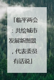 临平两会：共绘城市发展新图景，代表委员有话说