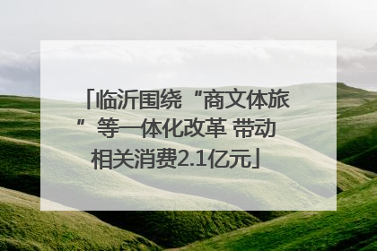 临沂围绕“商文体旅”等一体化改革 带动相关消费2.1亿元