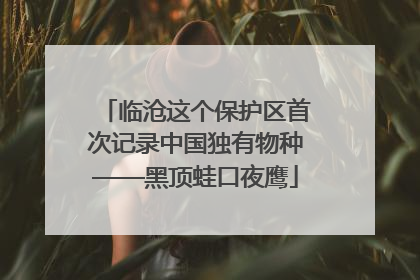临沧这个保护区首次记录中国独有物种——黑顶蛙口夜鹰