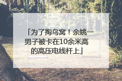 为了掏鸟窝！余姚一男子被卡在10余米高的高压电线杆上