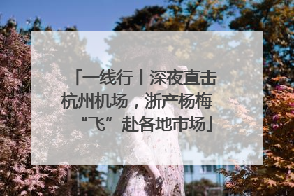 一线行丨深夜直击杭州机场，浙产杨梅“飞”赴各地市场