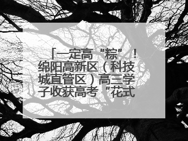 一定高“粽”！绵阳高新区（科技城直管区）高三学子收获高考“花式”祝福