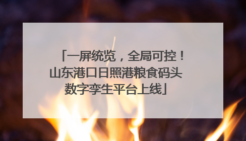 一屏统览，全局可控！山东港口日照港粮食码头数字孪生平台上线