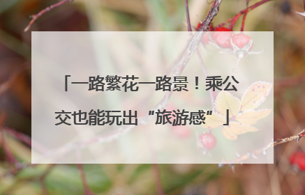 一路繁花一路景！乘公交也能玩出“旅游感”