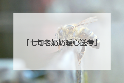 七旬老奶奶暖心送考