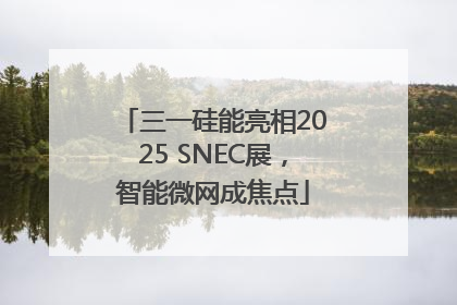 三一硅能亮相2025 SNEC展，智能微网成焦点