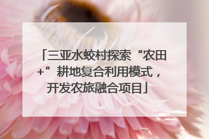三亚水蛟村探索“农田+”耕地复合利用模式，开发农旅融合项目