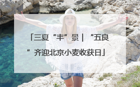 三夏“丰”景｜“五良”齐迎北京小麦收获日