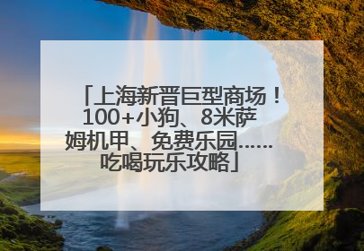 上海新晋巨型商场！100+小狗、8米萨姆机甲、免费乐园……吃喝玩乐攻略