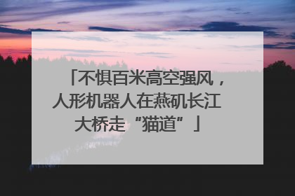 不惧百米高空强风，人形机器人在燕矶长江大桥走“猫道”