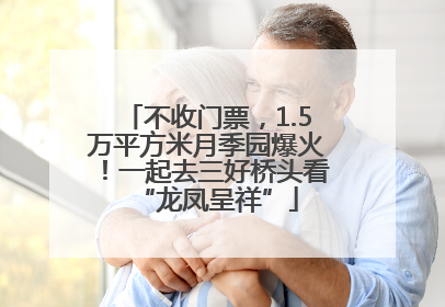 不收门票，1.5万平方米月季园爆火！一起去三好桥头看“龙凤呈祥”