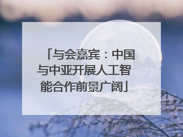 与会嘉宾：中国与中亚开展人工智能合作前景广阔
