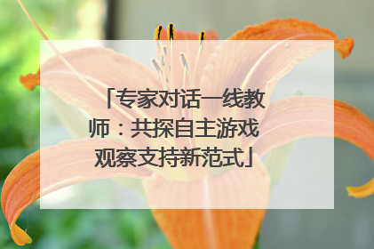 专家对话一线教师：共探自主游戏观察支持新范式