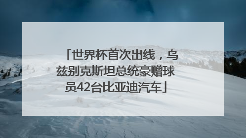 世界杯首次出线，乌兹别克斯坦总统豪赠球员42台比亚迪汽车