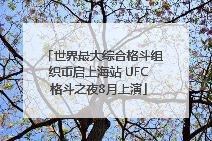 世界最大综合格斗组织重启上海站 UFC格斗之夜8月上演