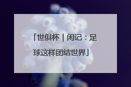 世俱杯｜闲记：足球这样团结世界