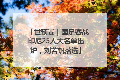 世预赛｜国足客战印尼25人大名单出炉，刘若钒落选