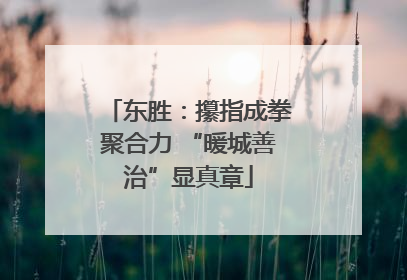 东胜：攥指成拳聚合力 “暖城善治”显真章