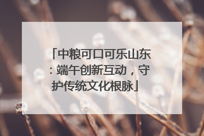 中粮可口可乐山东：端午创新互动，守护传统文化根脉