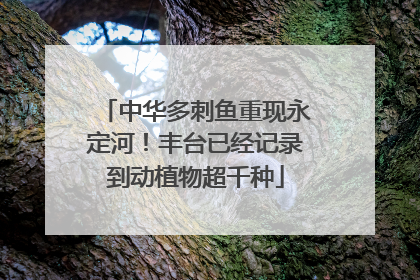 中华多刺鱼重现永定河！丰台已经记录到动植物超千种