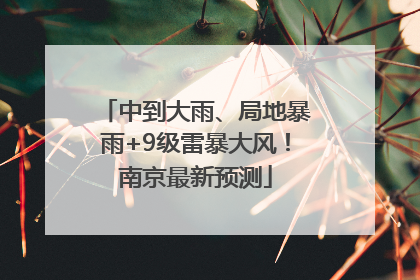 中到大雨、局地暴雨+9级雷暴大风！南京最新预测