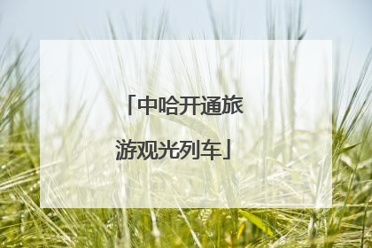 中哈开通旅游观光列车