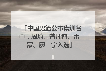 中国男篮公布集训名单，周琦、曾凡博、雷蒙、廖三宁入选