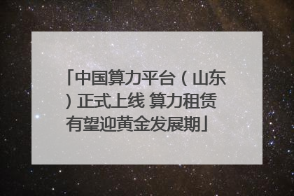 中国算力平台（山东）正式上线 算力租赁有望迎黄金发展期