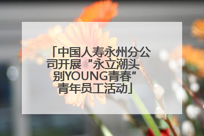 中国人寿永州分公司开展“永立潮头 别YOUNG青春”青年员工活动