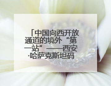 中国向西开放通道的境外“第一站”——西安·哈萨克斯坦码头启用