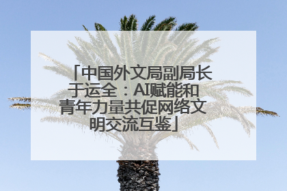 中国外文局副局长于运全：AI赋能和青年力量共促网络文明交流互鉴