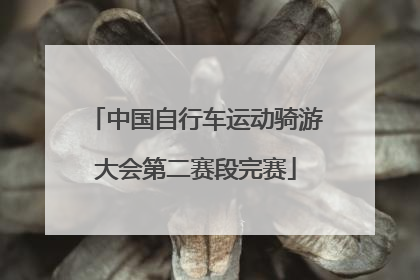 中国自行车运动骑游大会第二赛段完赛
