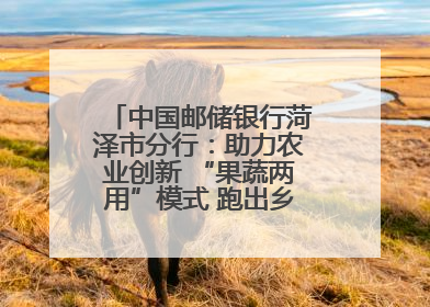 中国邮储银行菏泽市分行：助力农业创新 “果蔬两用”模式 跑出乡村振兴加速度