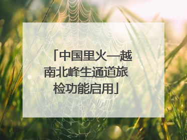 中国里火—越南北峰生通道旅检功能启用