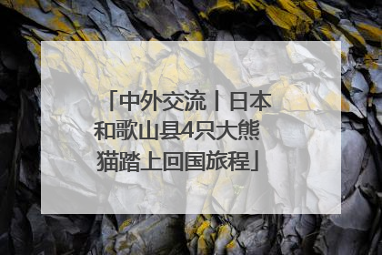 中外交流丨日本和歌山县4只大熊猫踏上回国旅程