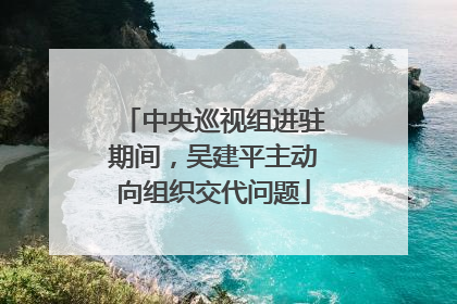 中央巡视组进驻期间，吴建平主动向组织交代问题