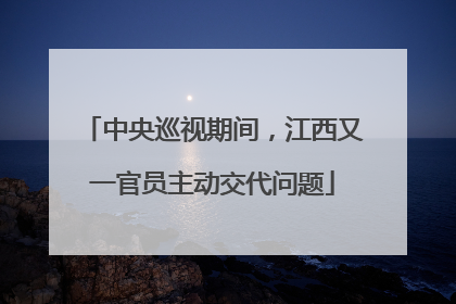中央巡视期间，江西又一官员主动交代问题