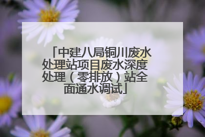中建八局铜川废水处理站项目废水深度处理（零排放）站全面通水调试