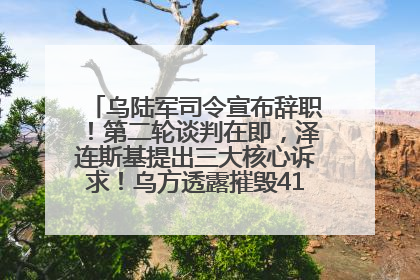 乌陆军司令宣布辞职！第二轮谈判在即，泽连斯基提出三大核心诉求！乌方透露摧毁41架俄战略轰炸机