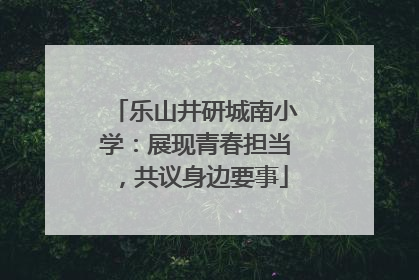 乐山井研城南小学：展现青春担当，共议身边要事